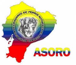 1er Sieger Internacional del Ecuador 2012 - ASORO