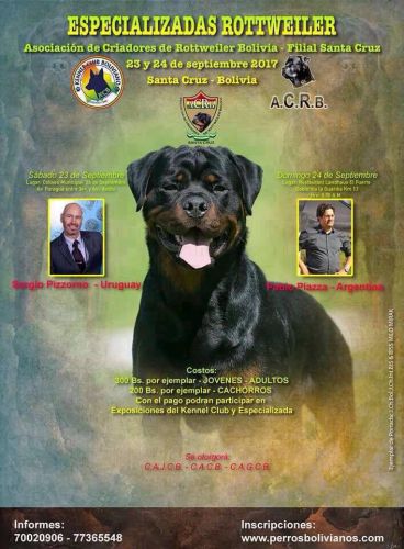 Especializadas Rottweiler - ACRB Filial Santa Cruz